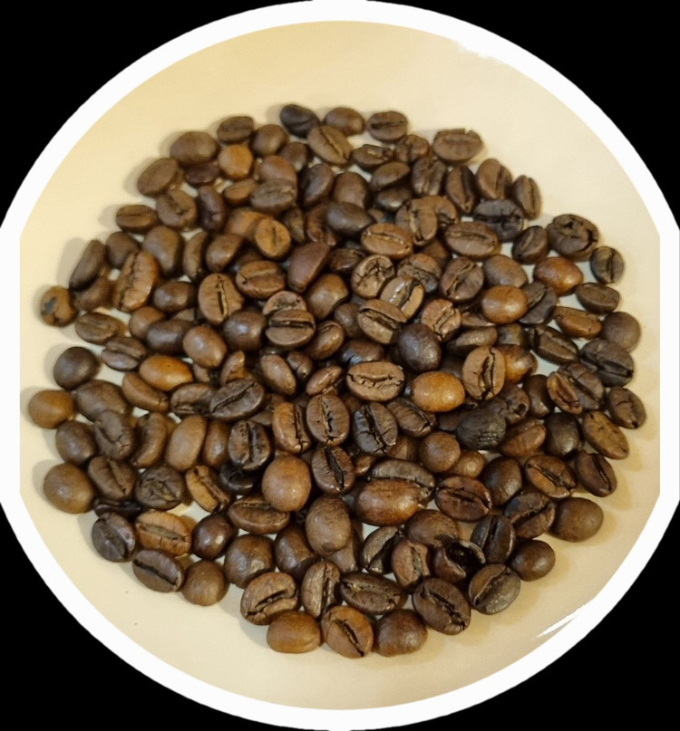 خرید دان قهوه روبوستا