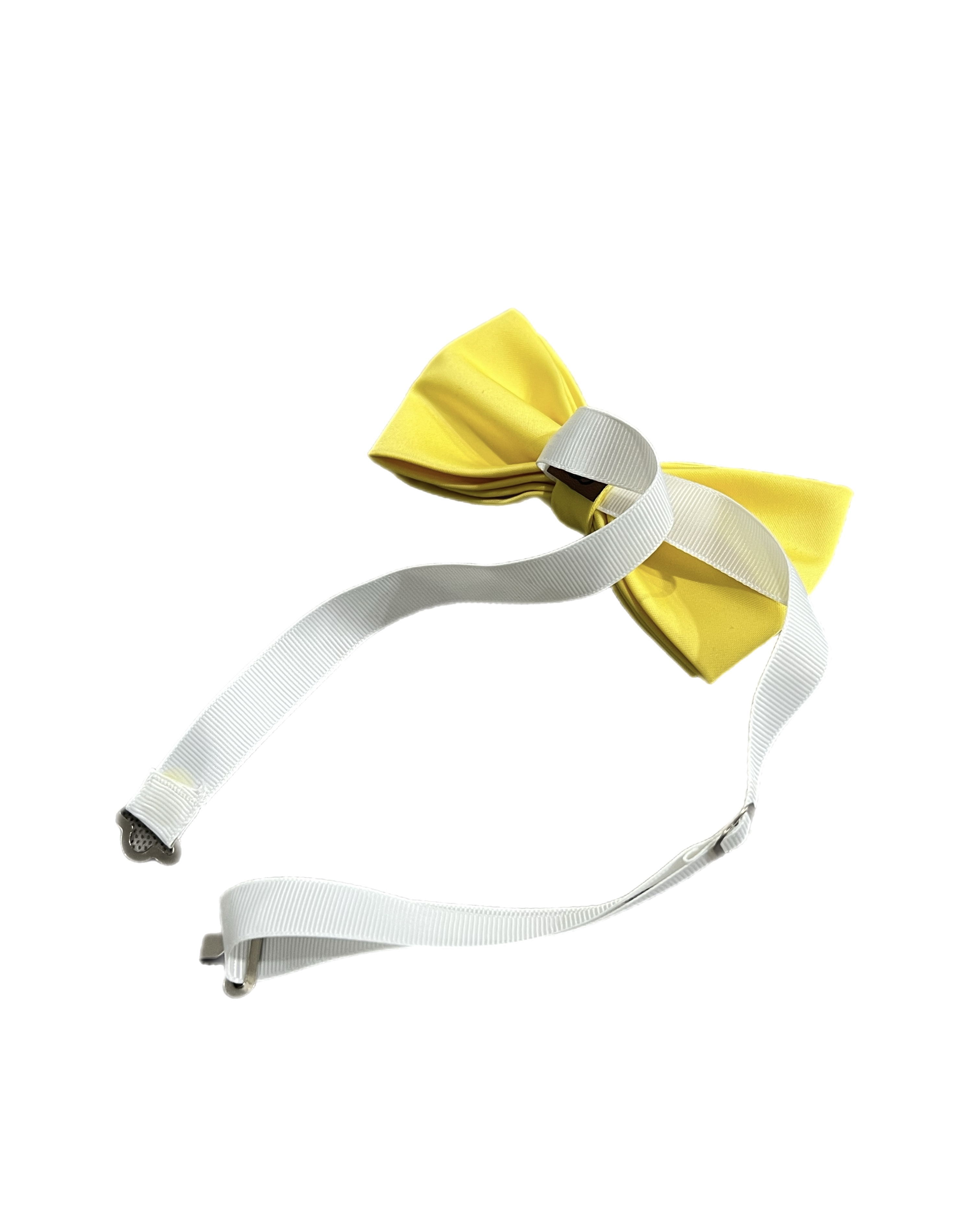 پاپیون زنانه