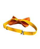 خرید پاپیون