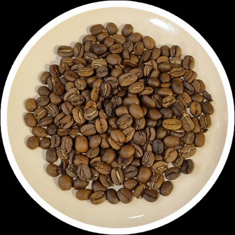 خرید دان قهوه عربیکا