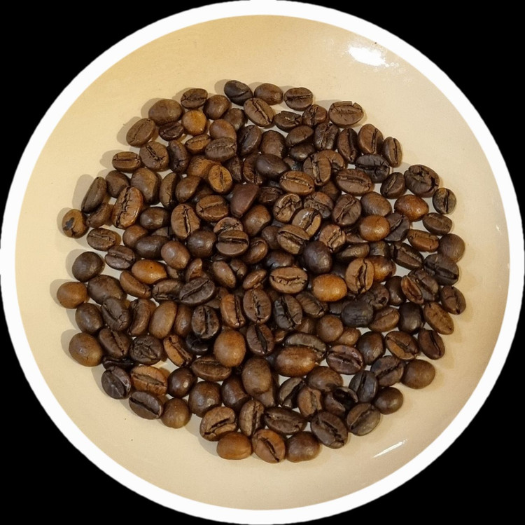 خرید دان قهوه ۱۰۰ روبوستا