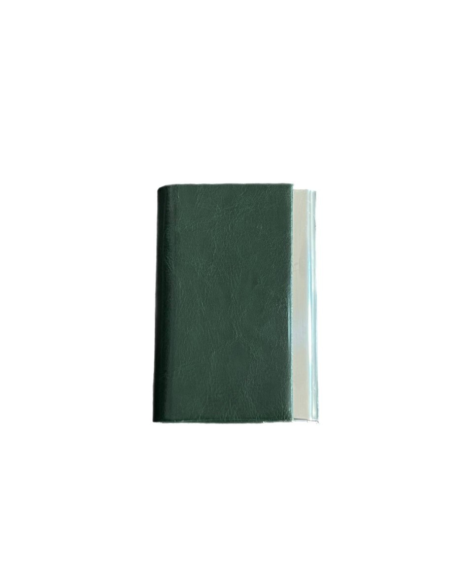 جاکارتی مگنتی در رنگبندی