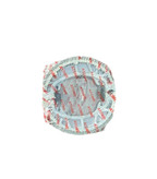 لنت موتورسیکلت